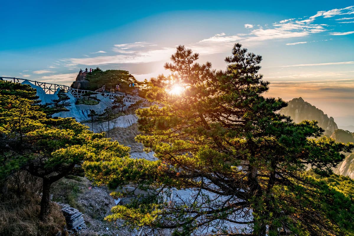 Sunrise through pine trees in Huang Shan China
